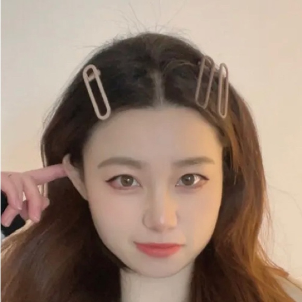 3/$35| Classic Nude Tan Brown Clips Hair Accessories (3pcs)